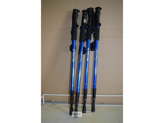 4 antishock wandelstokken - afbeelding 1 van  1