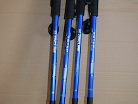 4 antishock wandelstokken