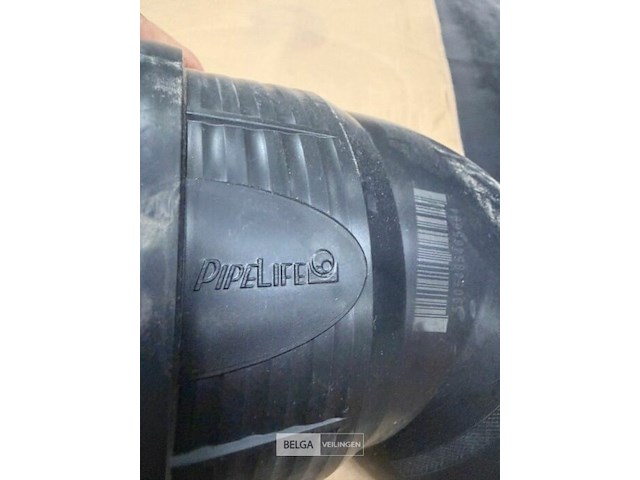 4 dozen master 3 plus - afbeelding 2 van  4