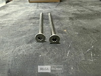 4 dozen torxschoeven - afbeelding 1 van  2