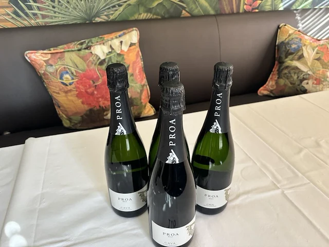 4 flessen cava proa - afbeelding 1 van  2