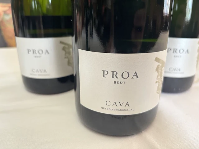 4 flessen cava proa - afbeelding 2 van  2