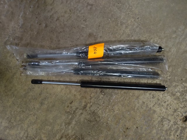 4 gasveren - afbeelding 3 van  4