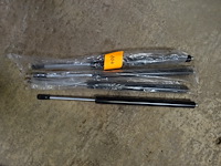 4 gasveren - afbeelding 3 van  4