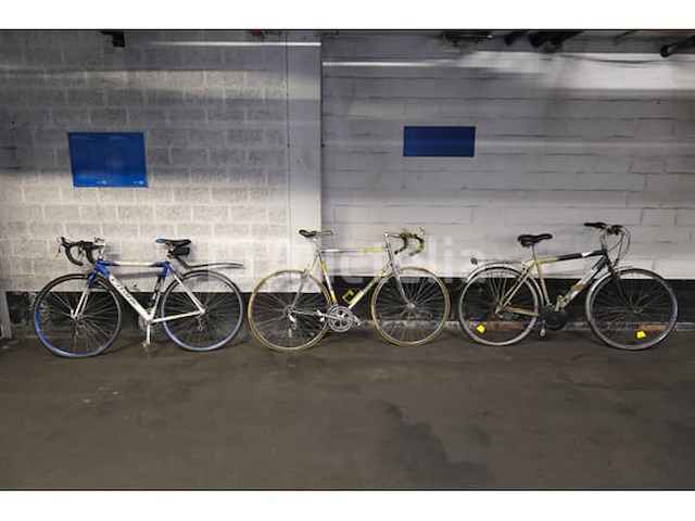 4 gemengde motoren - afbeelding 1 van  5