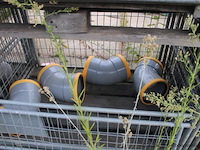 4 gitterboxen inhoudend diverse pvc koppelstukken - afbeelding 3 van  5