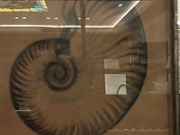 4 kunstwerken - afbeelding 6 van  10