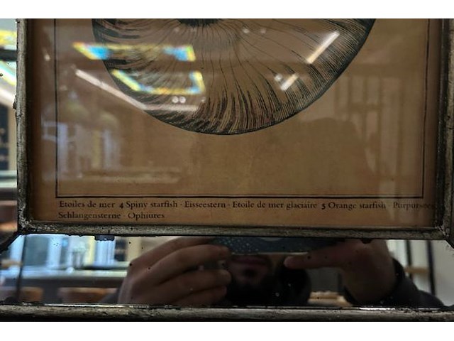 4 kunstwerken - afbeelding 7 van  10