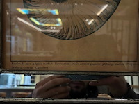 4 kunstwerken - afbeelding 7 van  10