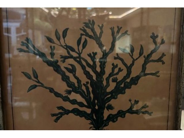 4 kunstwerken - afbeelding 9 van  10