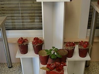 4 presentatiezuil met decoratie - afbeelding 1 van  5