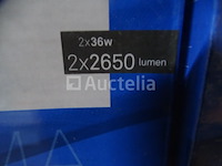 4 prisma tl-lampen 2 x 36w karwei - waarde €199