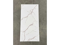 4 pvc wandpanelen - afbeelding 1 van  1