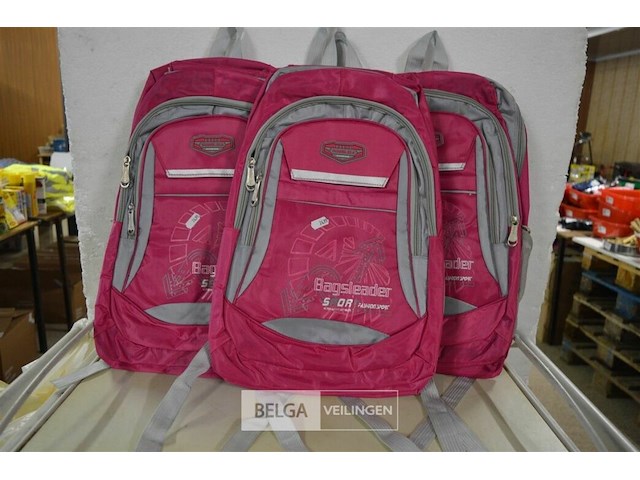 4 roze rugzakjes - afbeelding 1 van  2