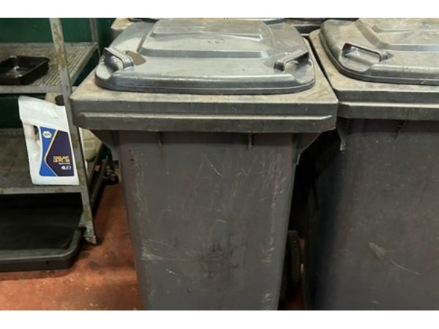 4 vuilnisemmers 120 liter + poetsgerief - afbeelding 3 van  6