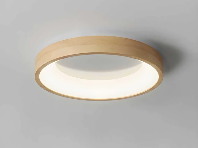 4 x anello led plafond lamp essen - afbeelding 1 van  7