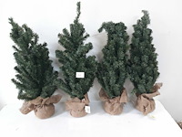 4 x kerstboom met kluit 60 cm - afbeelding 2 van  3