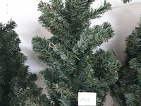 4 x kerstboom met kluit 60 cm - afbeelding 3 van  3