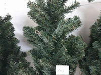 4 x kerstboom met kluit 60 cm - afbeelding 3 van  3