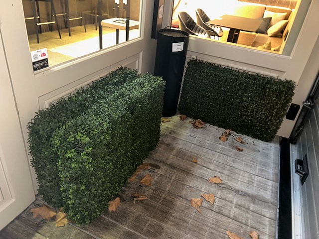 4 x nepstruik - afbeelding 1 van  2