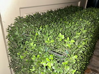 4 x nepstruik - afbeelding 2 van  2