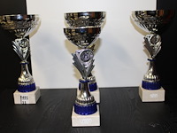 4 x trofee - afbeelding 1 van  1