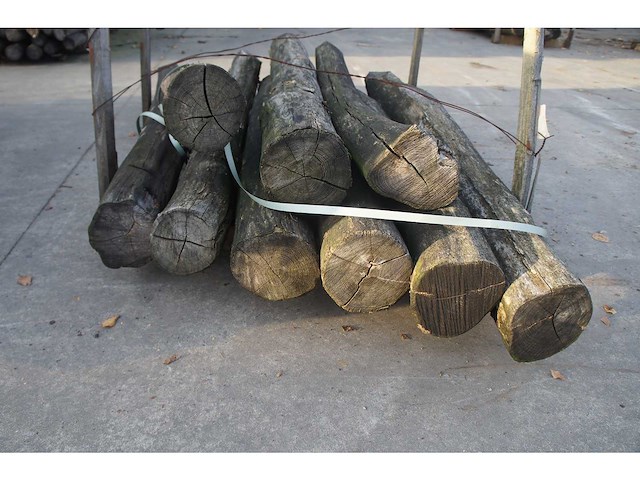 40x acacia paal dia 16/18 - afbeelding 3 van  6