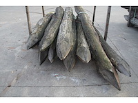40x acacia paal dia 16/18 - afbeelding 4 van  6