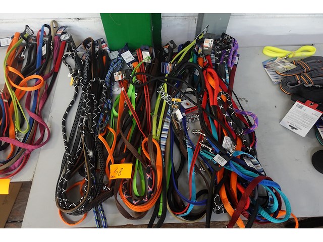 40x leiband - afbeelding 2 van  4