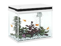 41 liter glazen aquarium met filtratiesysteem, led-lampen, waterpomp, voor verschillende vissoorten, wit - afbeelding 6 van  6