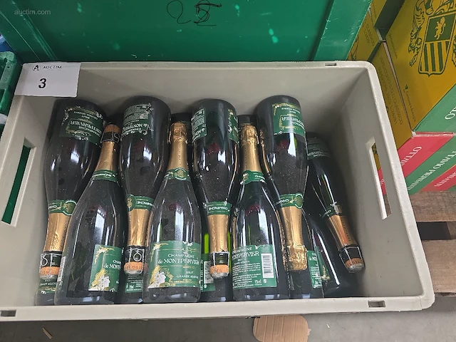 (41x) fles(sen) champagne de montpervier brut... - afbeelding 1 van  1