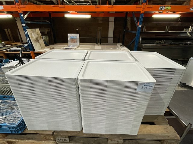 425 kunststofdienbladen - afbeelding 1 van  4