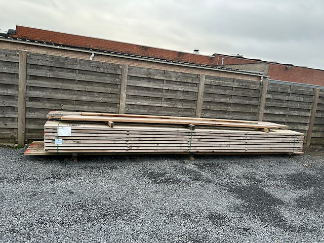 43 baddens - afbeelding 1 van  4