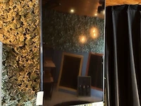 43 inch televisie lg