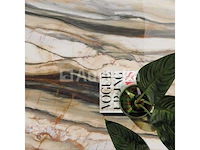 43,20 m² ariana marmer gepolijst 60x120 rectificatie, marmeren effect, vloer en muur - afbeelding 1 van  3