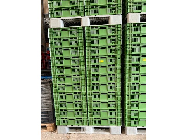 44x kunststof kratten - afbeelding 1 van  1