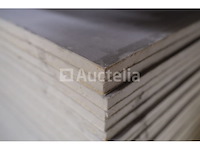 45 firestone isogard isolatiebekledingsplaten - afbeelding 1 van  6