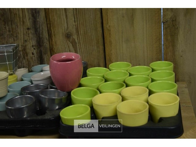 ±45 kleine bloempotjes - afbeelding 2 van  5