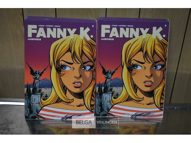 ±45 stripverhalen ; fanny k - afbeelding 1 van  3