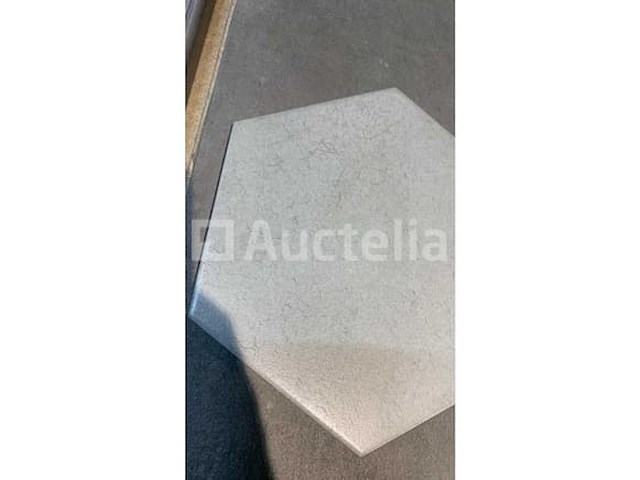 45m² daker witte zeshoekige, vloer en muur met beton - afbeelding 2 van  2