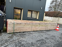 47 gedrenkte baddens - afbeelding 1 van  5