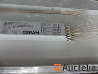 47 osram neonbuizenlampen (9424-035) - afbeelding 8 van  8