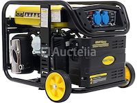 4,8 kw kraft&dele omvormergenerator