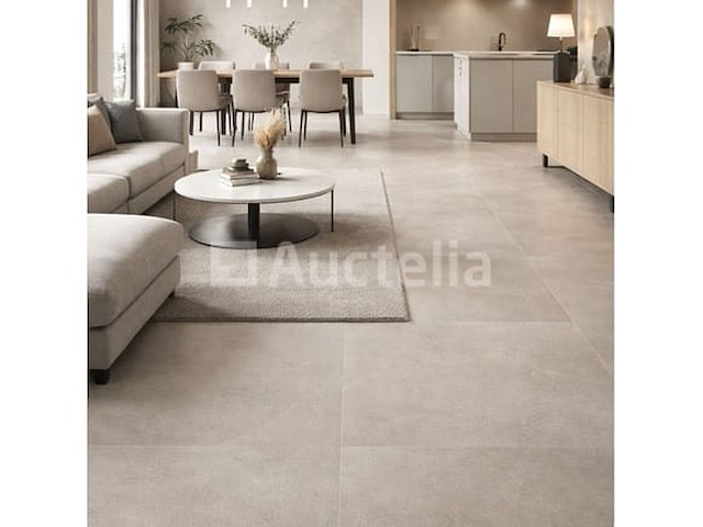 48m² bolonia ice 100x100 gerectificeerd, steenontwerp, vloer en muur, nieuw verpakt - afbeelding 2 van  2