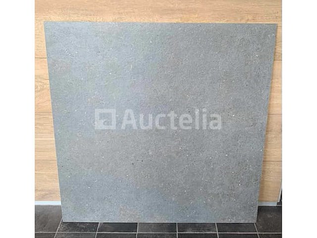 48m² pietre fumo 100x100 rectificatie, vloer en muur met beton - afbeelding 1 van  2