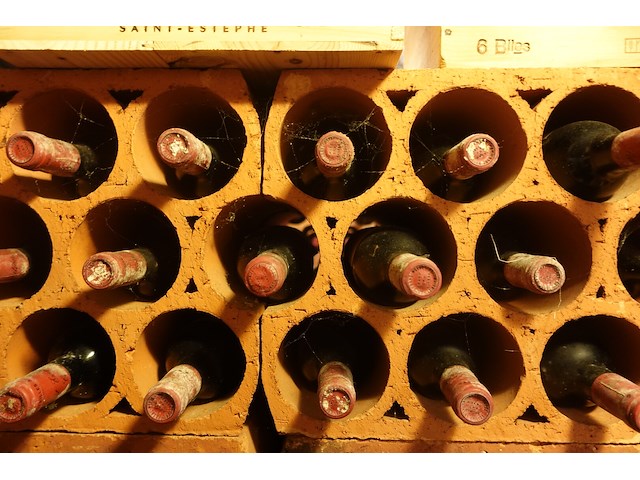 48x 75cl chateau frame mayne 1982 - afbeelding 5 van  6