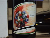 48x fles witte wijn, pierre gaillard, condrieu, 2008, 75cl - afbeelding 2 van  4