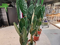 4x cactus kunstplant - afbeelding 2 van  4