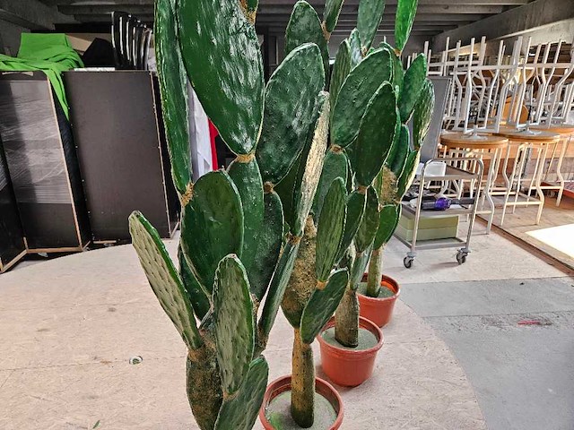 4x cactus kunstplant - afbeelding 2 van  4