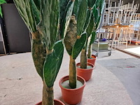 4x cactus kunstplant - afbeelding 3 van  4
